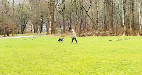 Dog and the owner are happy together in the nature!