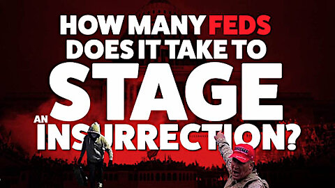 How Many FEDs Does It Take To Stage an Insurrection?