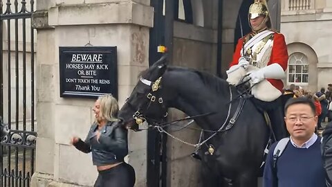 OK, you ignored the sign you fair game #horseguardsparade