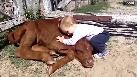 Animals Best Friend ❤️