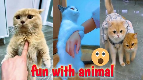 Funny animal video. Animal amazing activity #funny #animal
