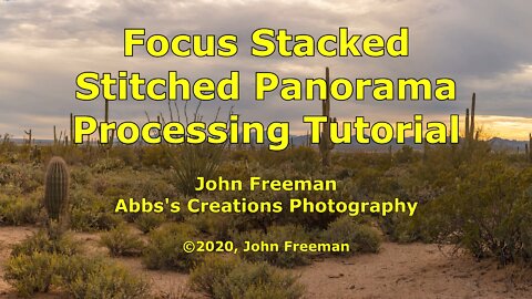 Focus Stacked Stitched Panorama Processing Tutorial