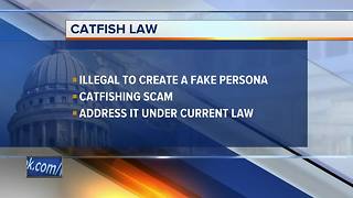 Draft Wisconsin law would target online 'catfishing' scams