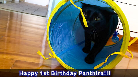 Panthiras 1st Birthday Present