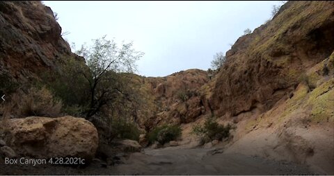 Box Canyon, thru the Canyon Walls 4.28.2021