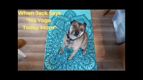 Ep. 3 - Jack the Adventure Pup Says No Yoga Today Mom! It’s Adventure Treat Time!! (2/20/22)