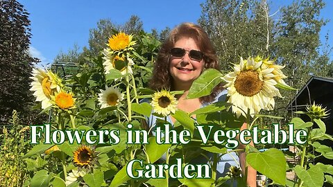 Flowers for Vegetable Garden // Gardening at the Simongetti North