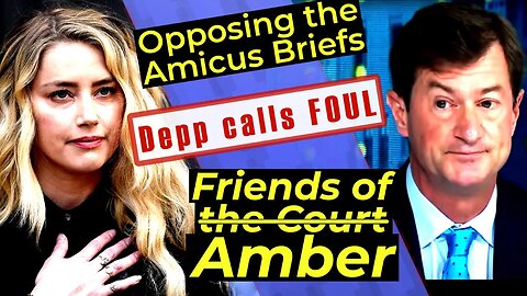 Ben Chew is NOT IMPRESSED with the Amicus Curiae briefs! Depp Opposition brief - Attorney Analysis