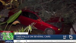 Large tree comes down on cars in Spring Valley