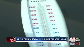 14 children have already died in hot cars this year