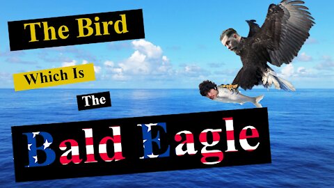 Gavin Explains The Origin of "The Bird Which Is The Bald Eagle” Meme (Part 1)