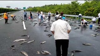 Drivers go fishing on Chinese highway