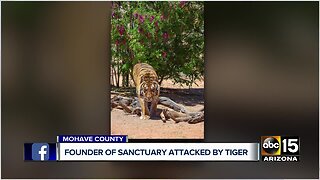 Founder of Sanctuary attacked by tiger