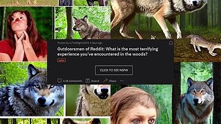 Terrifying Encounters in the Wilderness: Real Stories from Outdoorsmen on Reddit!