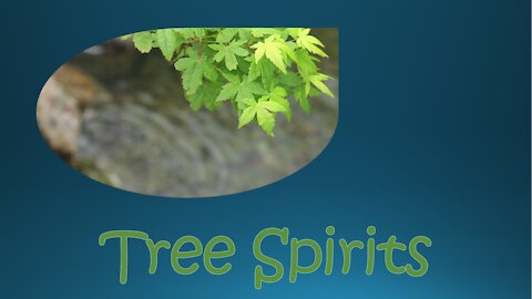 Tree Spirits - beautiful nature clips
