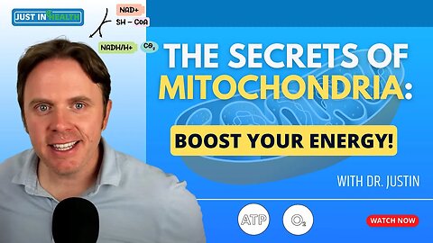 The Secrets of Mitochondria: Boost Your Energy!