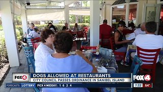 Sanibel city council passes ordinance to allow dogs at restaurants