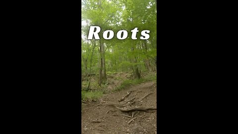 Roots - Steep Hill - Had a blast @Get Out Jeep Cherokee XJ Adventures #shorts