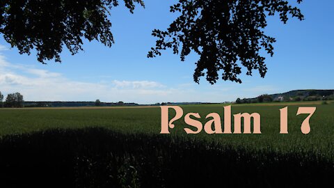 Psalm 17 (Luther 1912)
