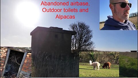 Abandoned airbase Outdoor Toilets and Alpacas 🇬🇧