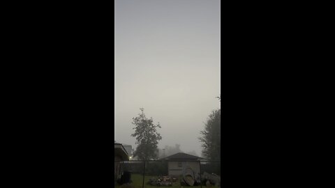 Very Foggy Morning 11.5.23
