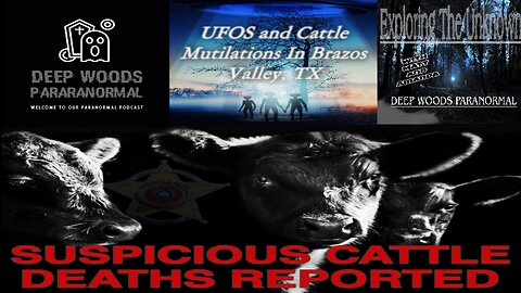UFOS and cattle mutilations in Texas. What's going on?