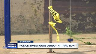 Police investigating a fatal overnight hit and run