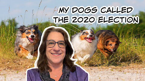 My dogs predicted the 2020 election