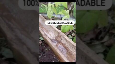 Diy Drip Irrigation Using Bamboo
