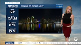 ABC 10News Pinpoint Weather with Meteorologist Leah Pezzetti