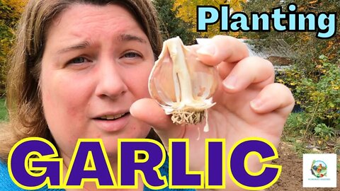 WHEN And HOW To Plant GARLIC | What is HARDNECK GARLIC?