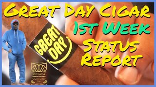 Great Day Cigar 1 Week Status Report | #leemack912 (S08 E67)