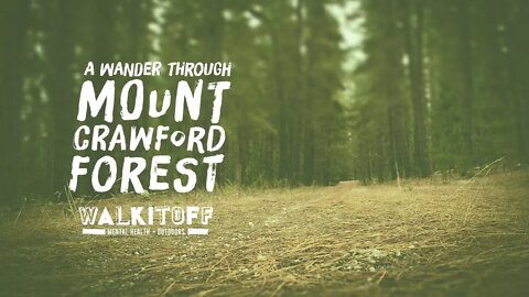 A Wander through Mount Crawford Forest