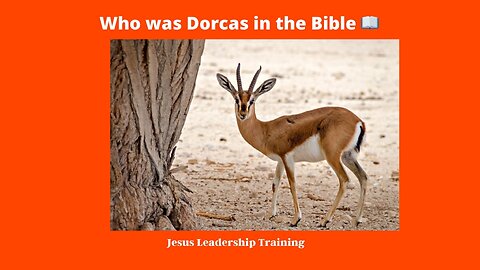 Who was Dorcas in the Bible 📖