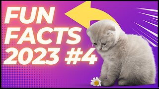 Funny Facts 23 #4