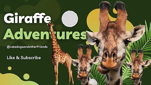 #Giraffes l 🌍🦒🔍Caring for Giraffes and Unraveling Their Tall Tales!🌍🦒🔍