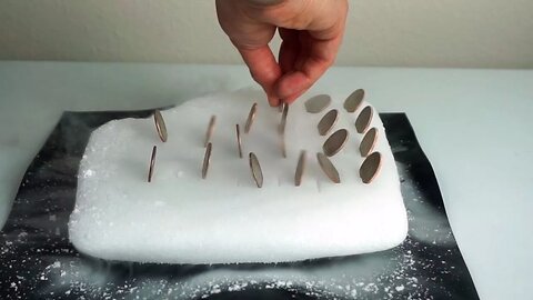 They're Alive! Awesome Effect Turns Coins Into Butterflies on Dry Ice