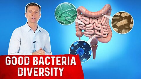 Increase Gut Bacteria Diversity: Here's How