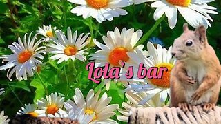 Lola’s bar