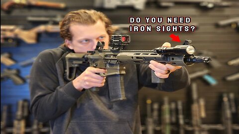 Are Ironsights Important?