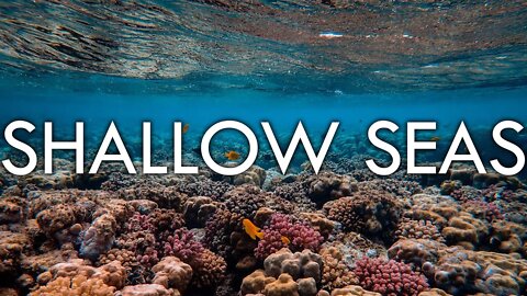 Shallow Seas - Continental Shelf, Coral, Plankton and Kelp - Biomes#11