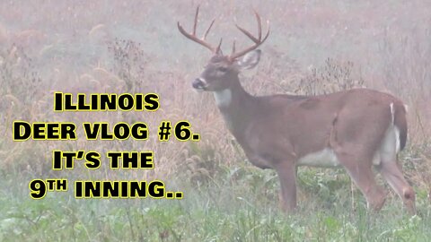 Illinois archery-Kapper deer vlog #6! It's the 9th inning on a beautiful clover plot...