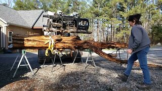 Incredible Red Cedar log DIY project EP #1