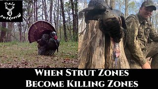 Hunting Pressured Gobblers/ When Strut Zones Become Killing Zones
