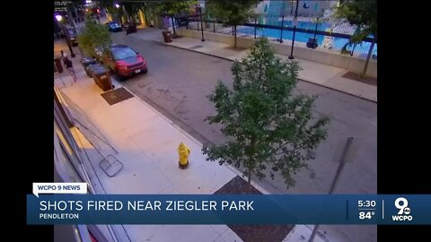 Shots Fired Near Ziegler Park