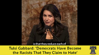 Tulsi Gabbard: 'Democrats Have Become the Racists That They Claim to Hate'