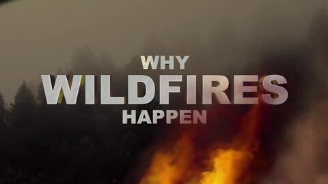Michigan in extreme fire danger, what that means and why wildfires happen