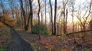 Appalachian Trail 5