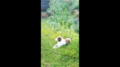 Tiny's First bath