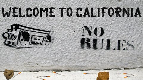 CALIFORNIA Releases More Drug SMUGGLERS - They will not follow FED LAWS - What Comes NEXT?